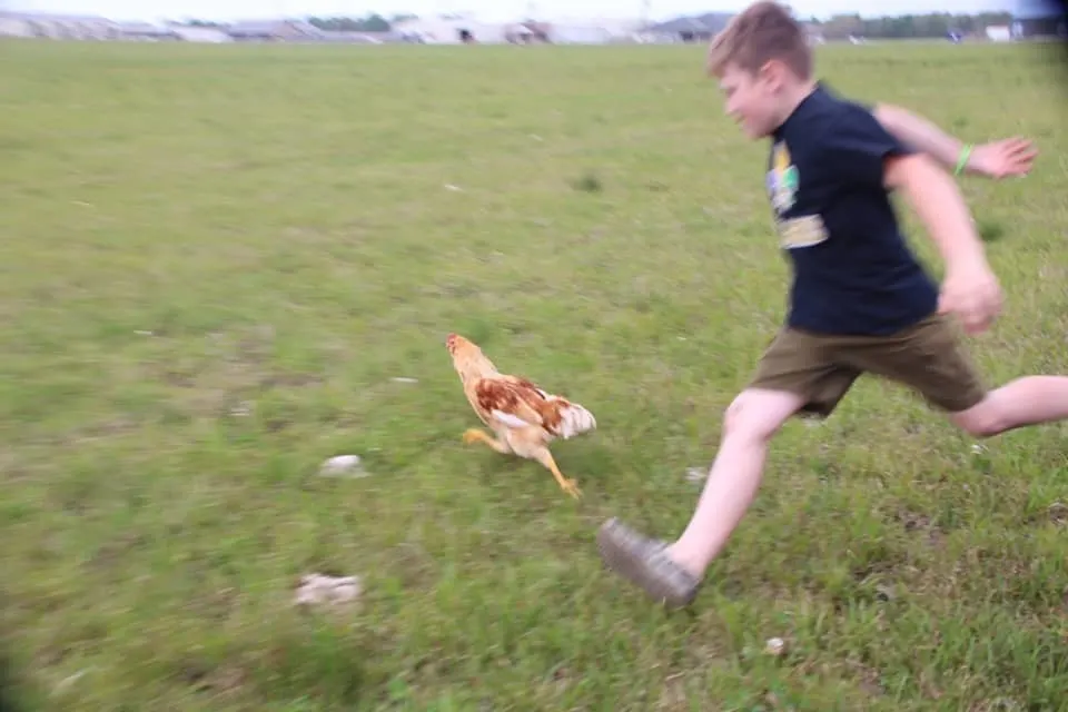 Have you ever seen a chicken on the run? Near Lake Charles, Louisiana you will find one or two in the Iowa Chicken Run!