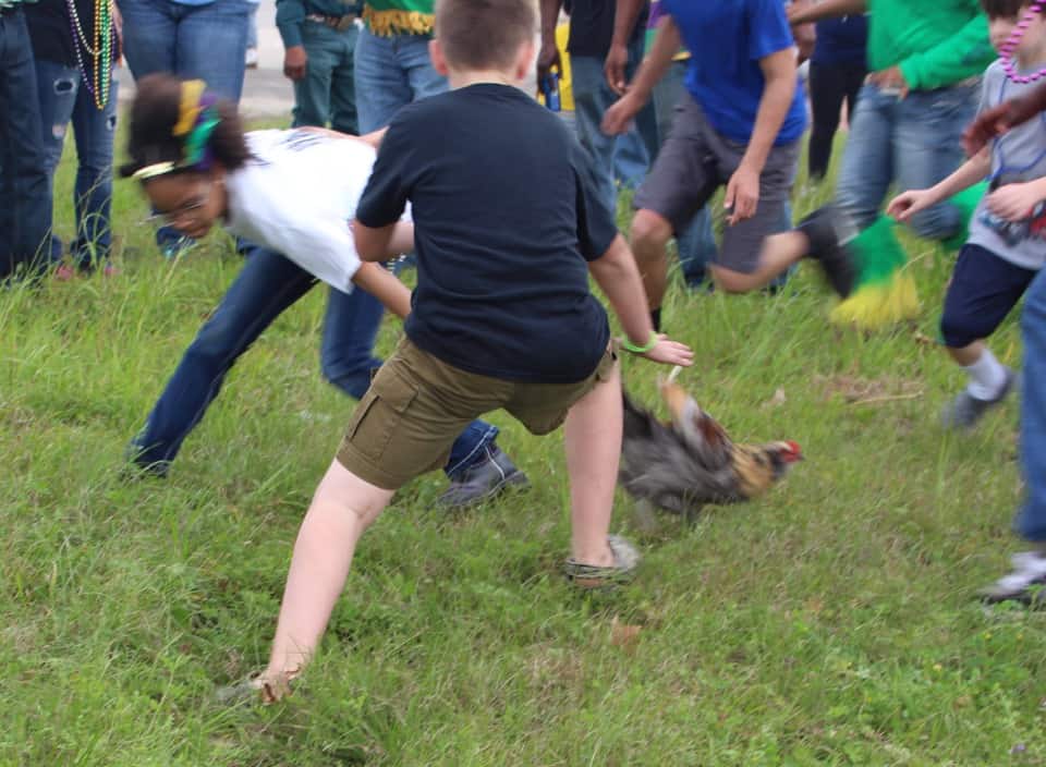 Have you ever seen a chicken on the run? Near Lake Charles, Louisiana you will find one or two in the Iowa Chicken Run!