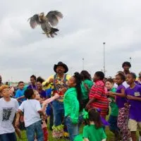 Have you ever seen a chicken on the run? Near Lake Charles, Louisiana you will find one or two in the Iowa Chicken Run