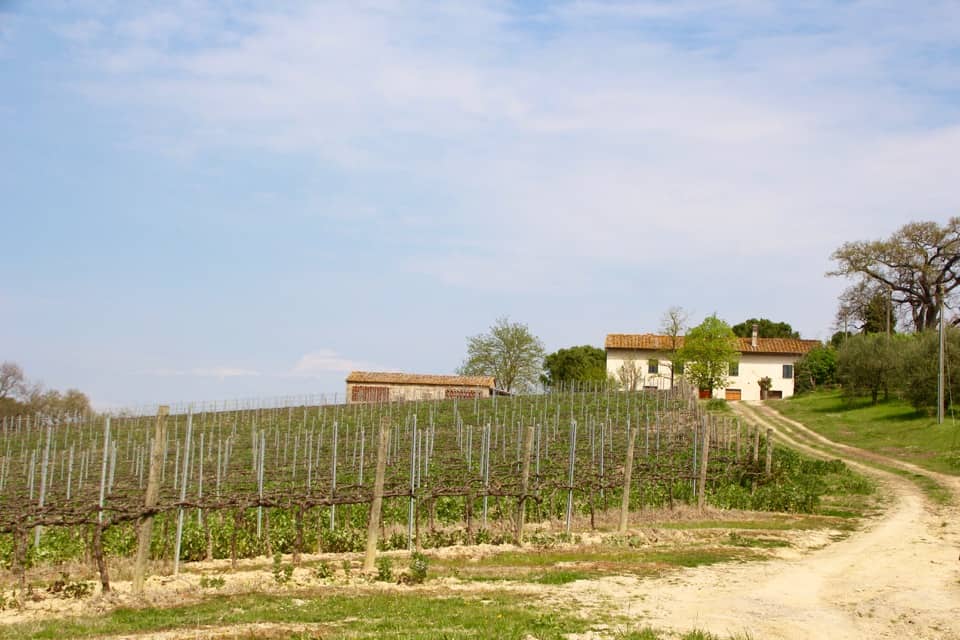 Come along with me while I visit one of the best places to go in Italy. It is not every day you get to meet royalty: The Strozzi family estate.