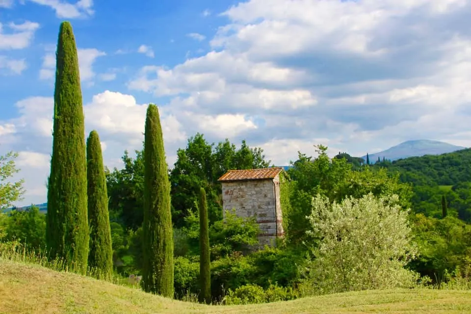 Come along with me as I explore the grounds of Hotel Adler in Tuscan, Italy. You will be revitalized and rested by the time you leave Hotel Adler.