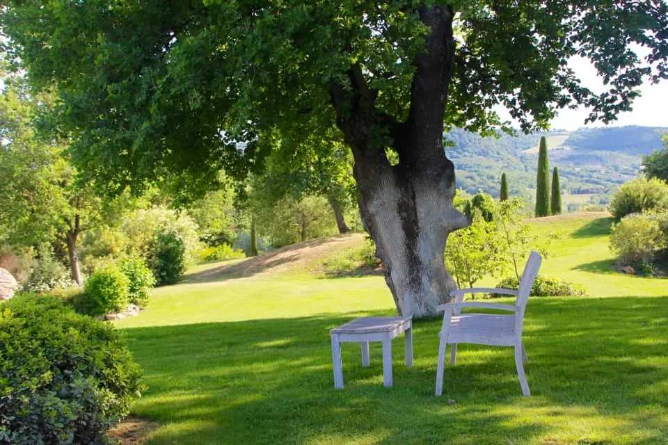 Come along with me as I explore the grounds of Hotel Adler in Tuscan, Italy. You will be revitalized and rested by the time you leave Hotel Adler.