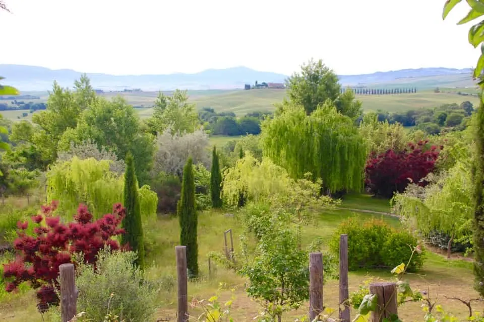 Come along with me as I explore the grounds of Hotel Adler in Tuscan, Italy. You will be revitalized and rested by the time you leave Hotel Adler.