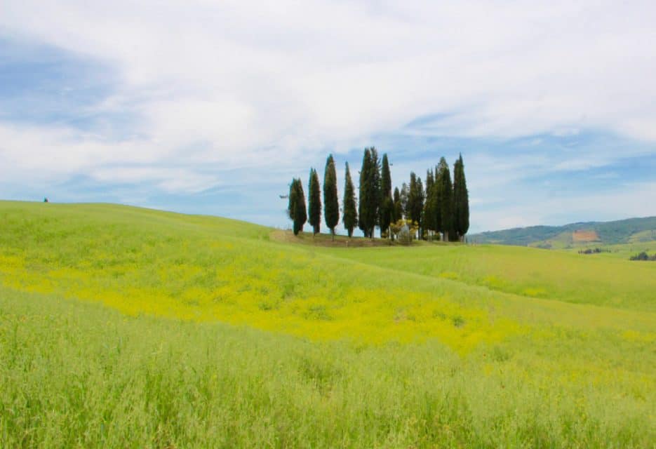 Come along with me as I explore the grounds of Hotel Adler in Tuscan, Italy. You will be revitalized and rested by the time you leave Hotel Adler.