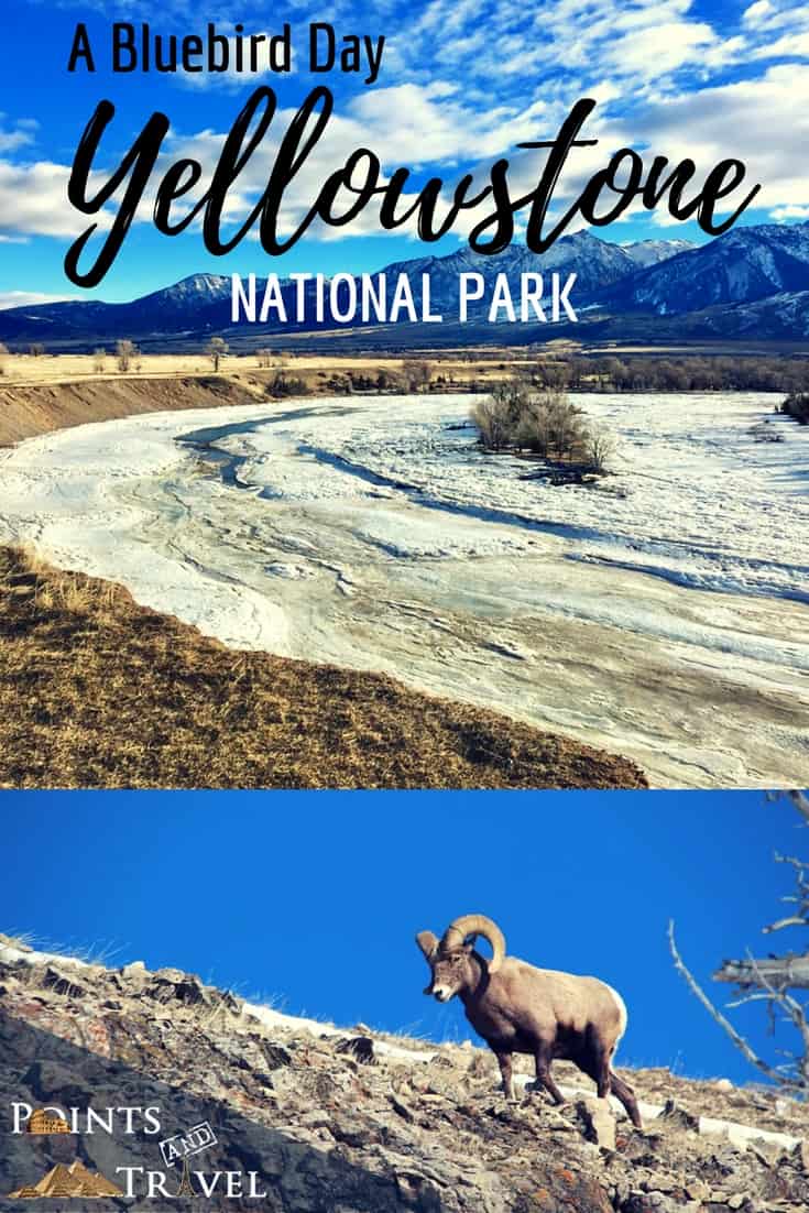 Come along with me as I enjoy a "bluebird day" at Yellowstone National Park and see the animals of Yellowstone National Park.