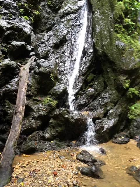 Rappel down Waterfall, Costa Rica, Blue Osa #CostaRica #BlueOsa