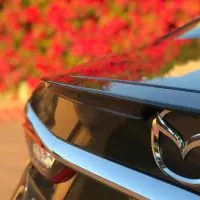 Holiday Road Trip Tips: Take a Trip, Travel Locally, red flowers reflecting on the hood of a silver Mazda6