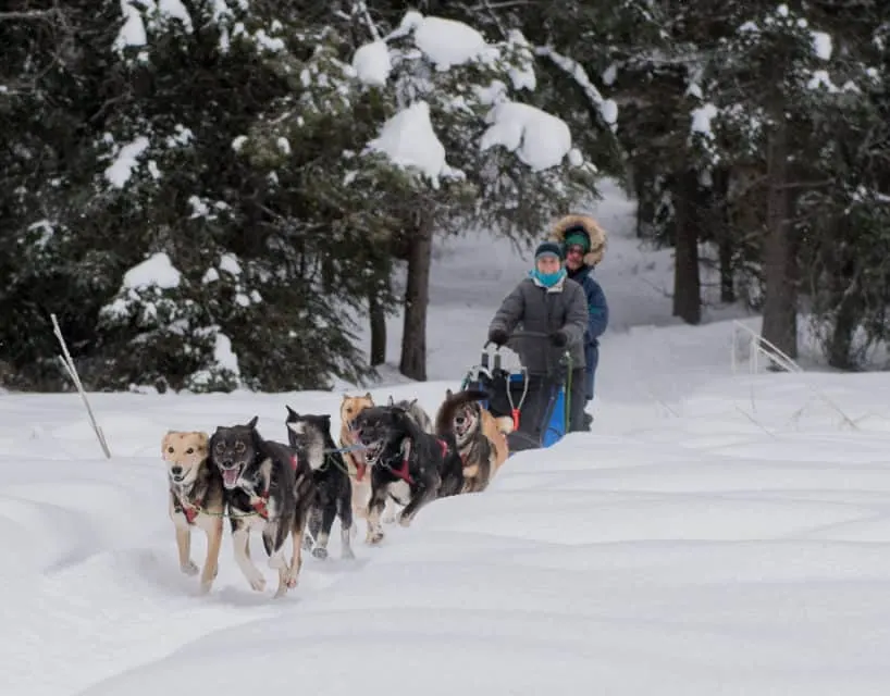 Dog Sledding, Montana’s Winter Wonderland – ski Whitefish