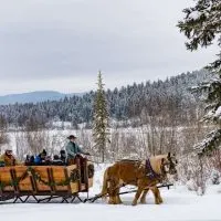 Sleigh ride, Montana’s Winter Wonderland – ski Whitefish