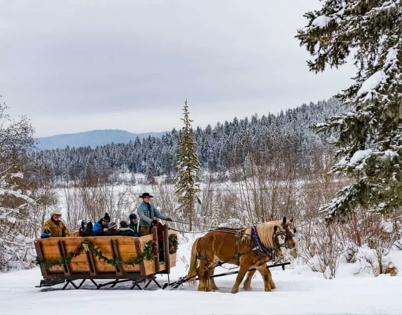 Sleigh ride, Montana’s Winter Wonderland – ski Whitefish