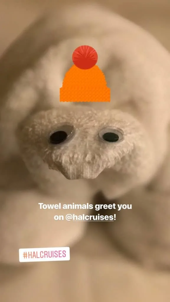 Towel animal on the cruise Holland America on a global cruise.