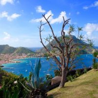 Landscape, Guadeloupe Islands, Guadeloupe Holidays