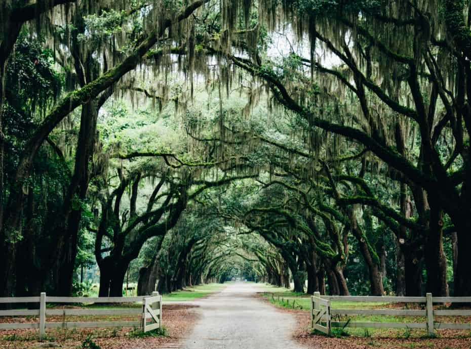 Best Things To Do In Savannah GA - A Travel Guide