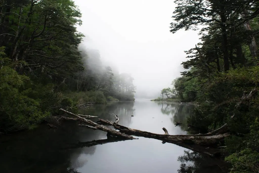 Huerquehue National Park, Pucón, Chile, Time in Chile, Best Time to Visit Chile, Chilean restaurant, Chilean food