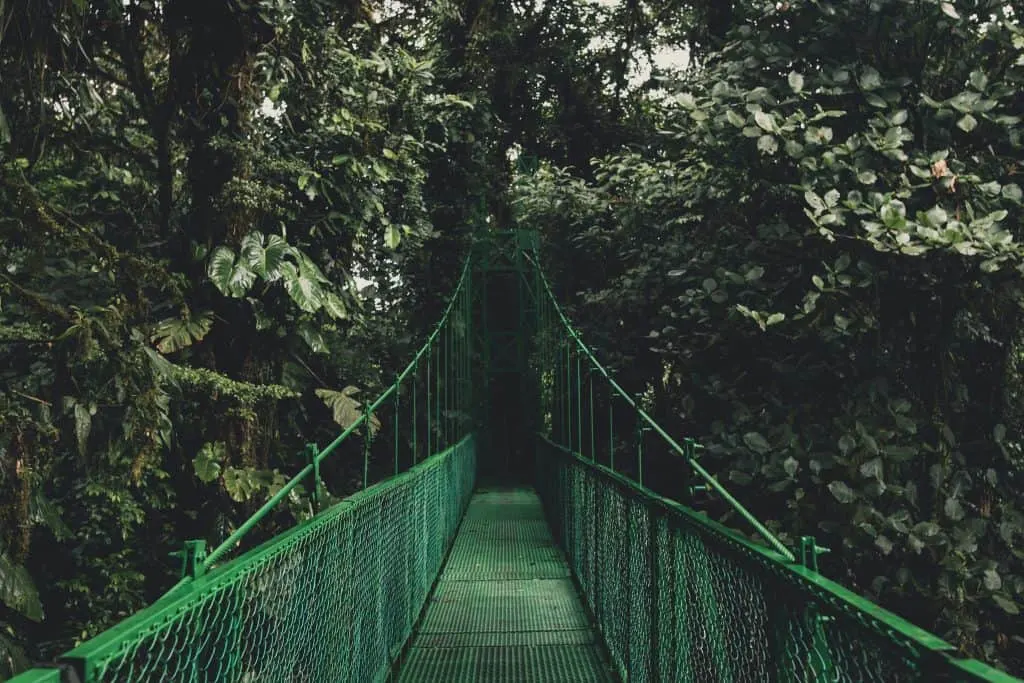 Costa Rica National Parks, Monteverde 