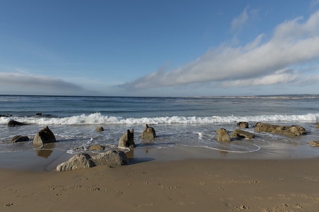 Surfing at Monterey Beach