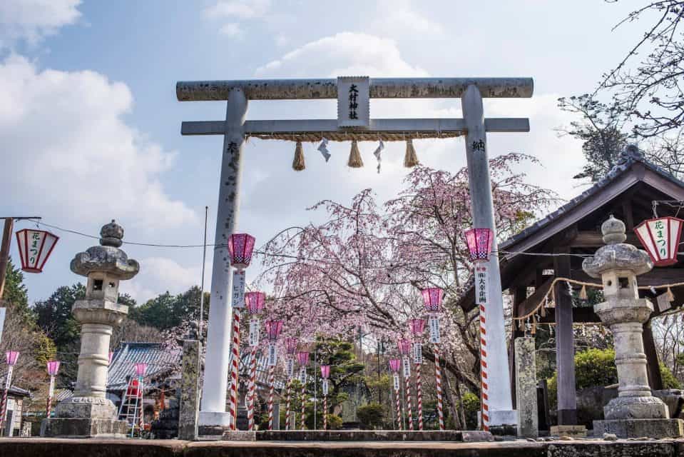 The BEST places to visit in Asia!