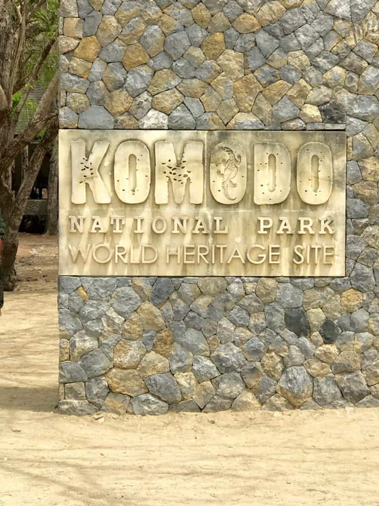Komodo dragon, Komodo, Komodo island, Pictures of Komodo dragons, komodo dragon island, Komodo National Park