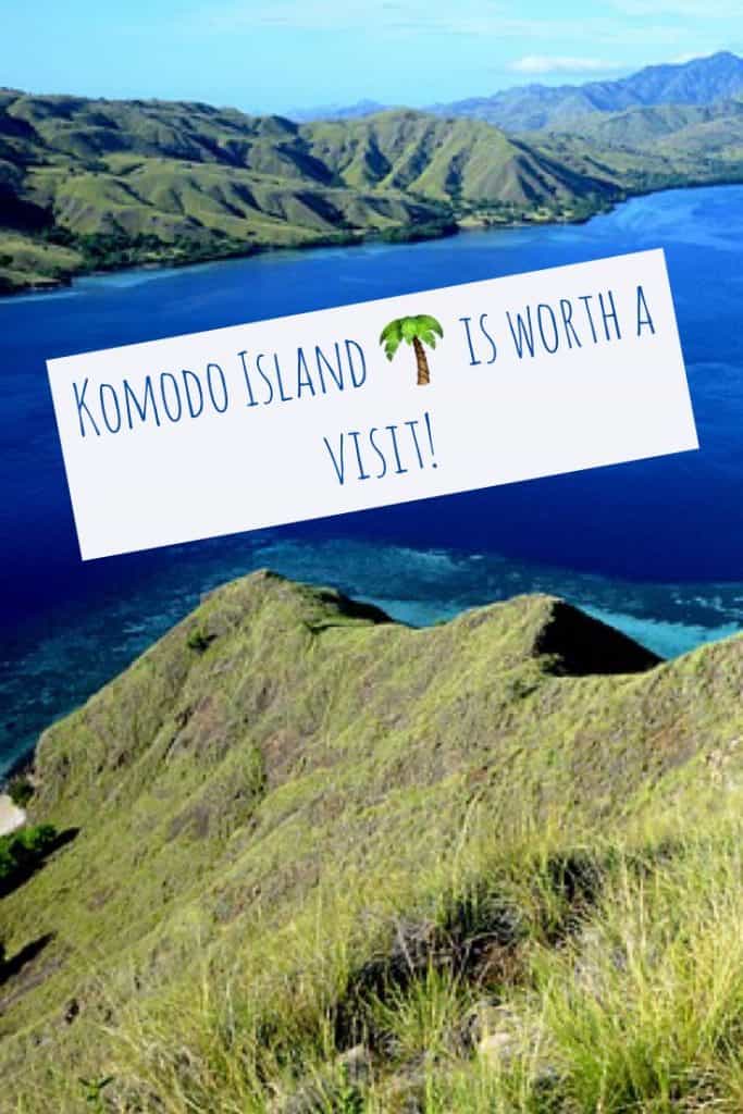 Komodo dragon, Komodo, Komodo island, Pictures of Komodo dragons, komodo dragon island, Komodo National Park