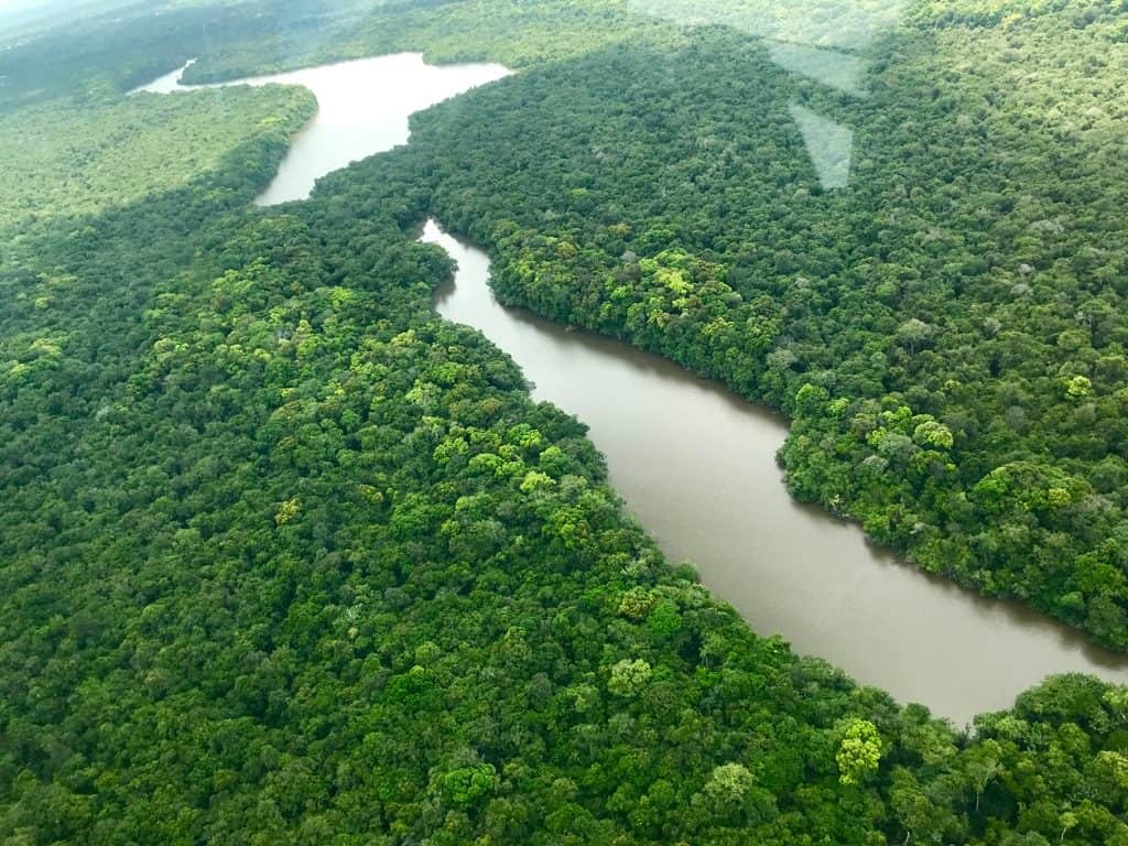 South American Rainforest, Rewa, Amazon Rainforest Facts, Amazon River facts