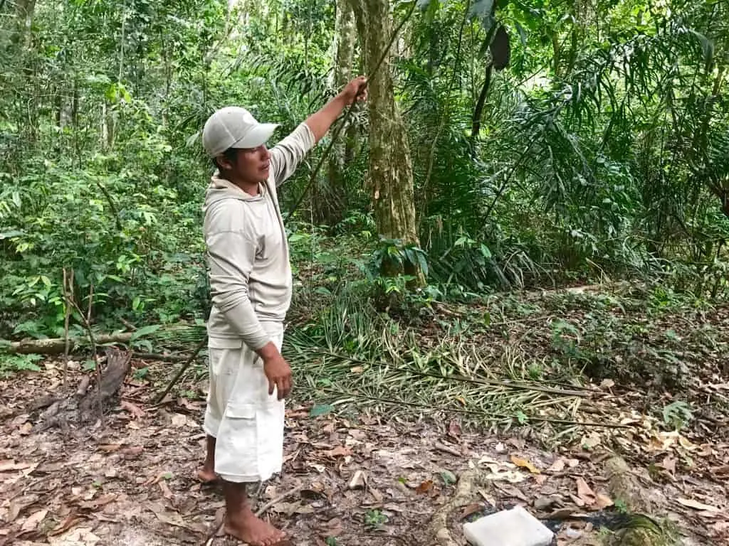 Piranha Fishing, Pirana Fishing, Rivers of South America, Guyana, Amazon River Basin