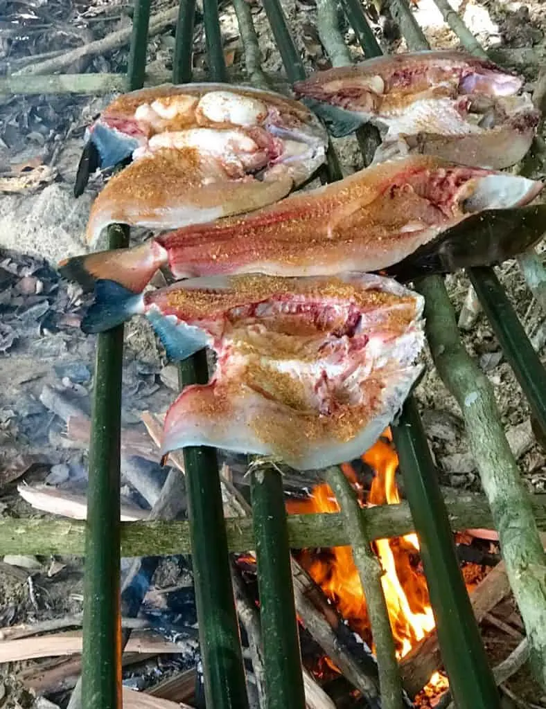 Piranha Fishing, Pirana Fishing, Rivers of South America, Guyana, Amazon River Basin