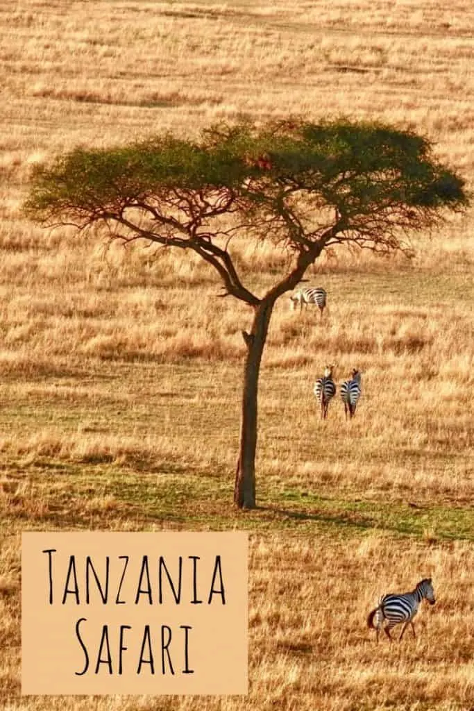 Tanzania Safari