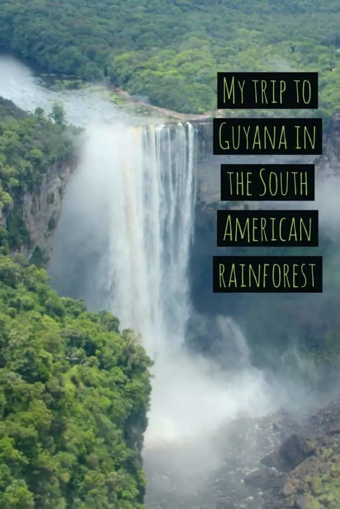 South American Rainforest, Rewa, Amazon Rainforest Facts, Amazon River facts 