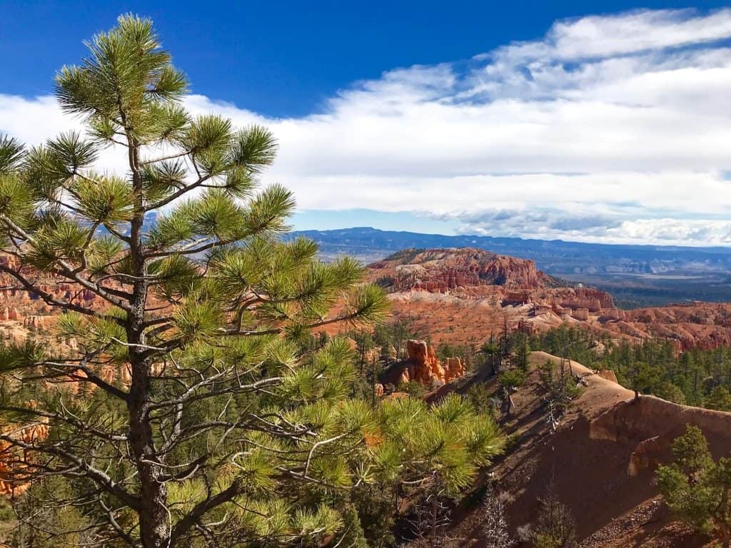 Bryce Canyon Hikes, Bryce Canyon Trails, Bryce Canyon Elevation