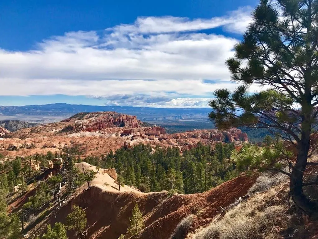 Bryce Canyon Hikes, Bryce Canyon Trails, Bryce Canyon Elevation