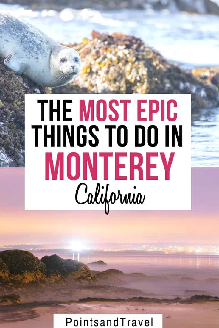 Here are the 10 Best Things to Do in Monterey, California. With its scenic cliffs, sand dunes, wine tasting, and a famous aquarium, there are so nay things to do during a weekend in Monterey | What to do in Monterey | Monterey Itinerary | Weekend in Monterey California | Monterey travel guide | #monterey #california