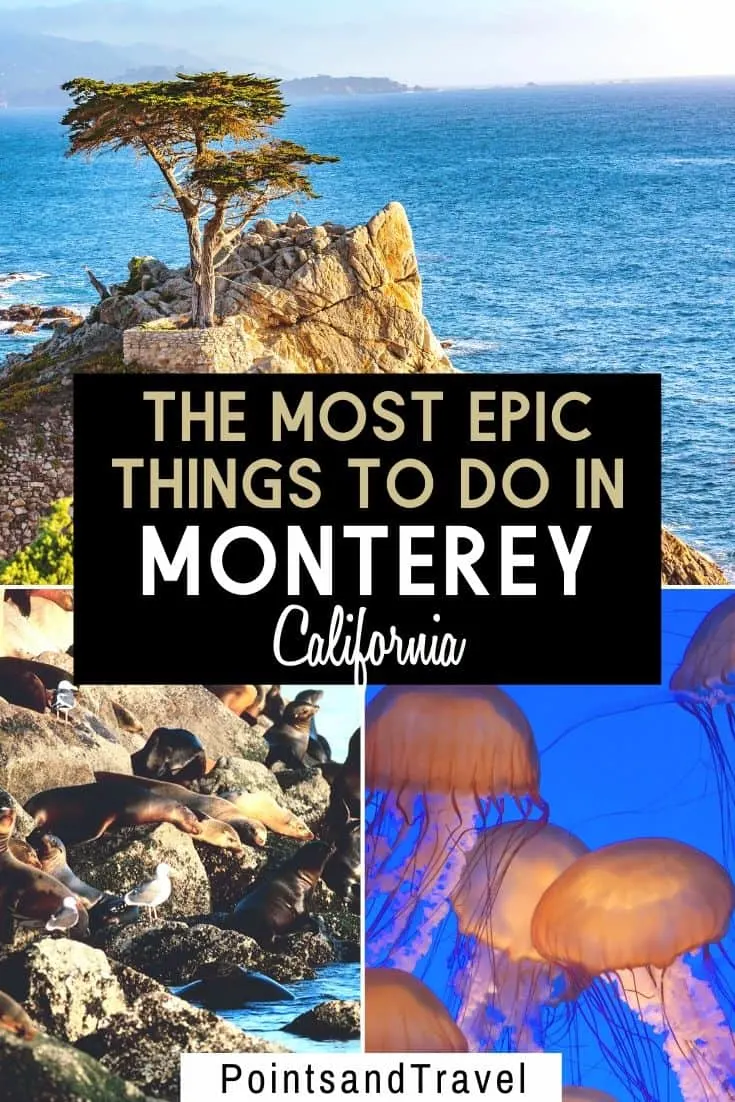 Here are the 10 Best Things to Do in Monterey, California. With its scenic cliffs, sand dunes, wine tasting, and a famous aquarium, there are so nay things to do during a weekend in Monterey | What to do in Monterey | Monterey Itinerary | Weekend in Monterey California | Monterey travel guide | #monterey #california