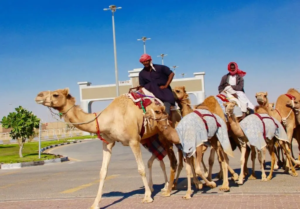 Doha City Tour, City tour Doha, Doha city Tours, places to visit in Doha,Doha City tours