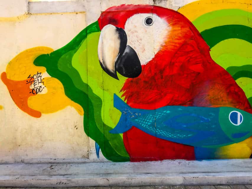 zipolite playa, playa zipolite, zipolite Oaxaca, zipolite mexico, #PlayaZipolite #Zipolite #ZipolitePlaya #Mexico #Oaxaca