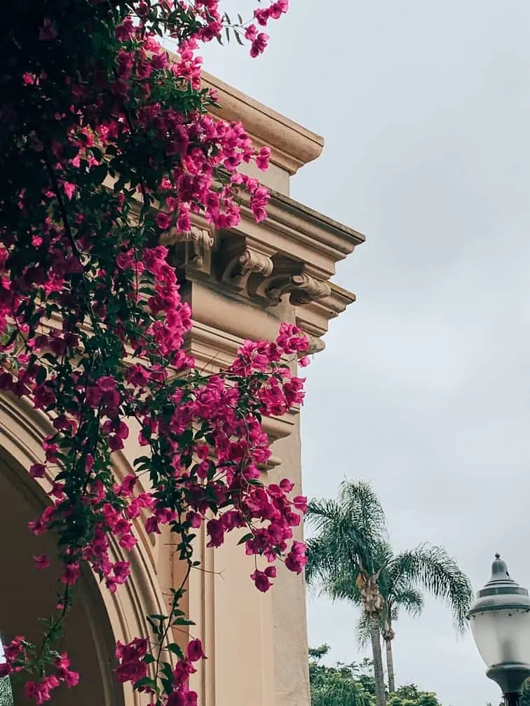 Balboa Park, San Diego, CA, #BalboaPark #SanDiego #California