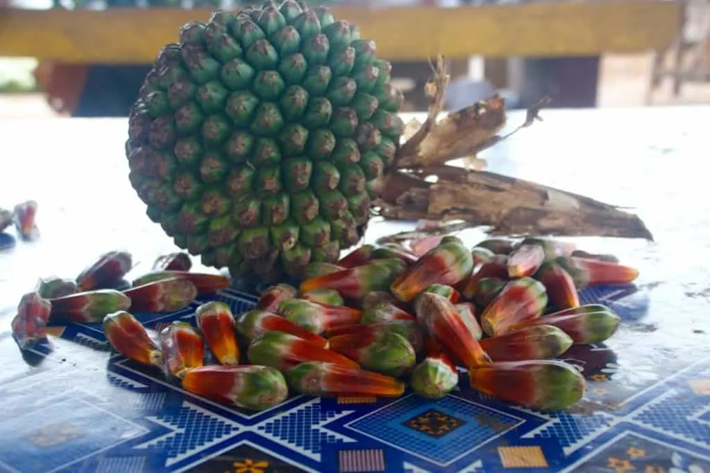 Food in Tonga