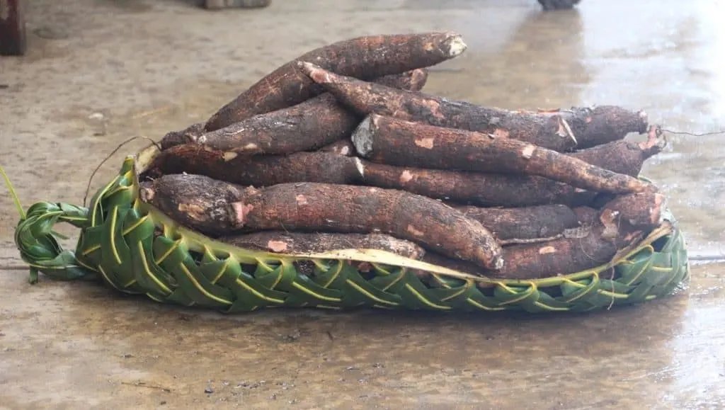 Tongan food includes Taro