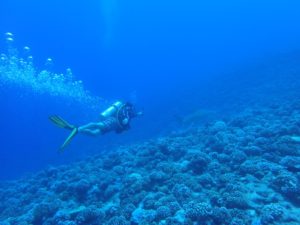 Scuba Diving in Bora Bora, things to do in Bora Bora, What to do in Bora Bora, Bora Bora Holidays, Best Diving in the Caribbean