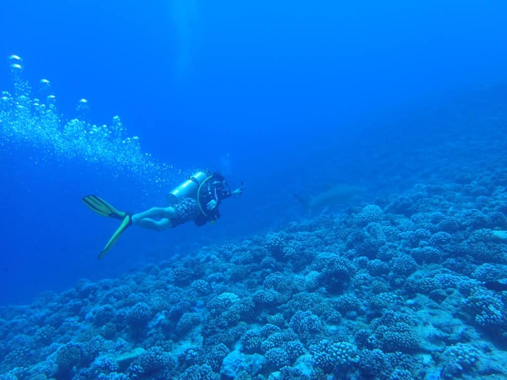 Scuba Diving in Bora Bora, things to do in Bora Bora, What to do in Bora Bora, Bora Bora Holidays