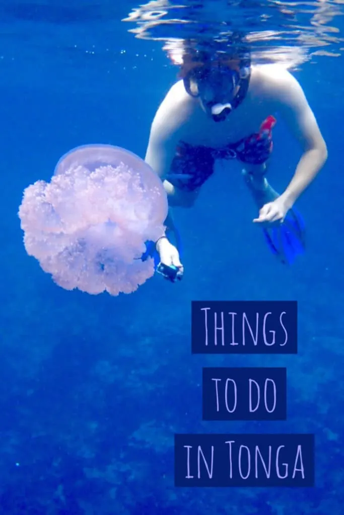 Snorkeling in Tonga is a thing to do