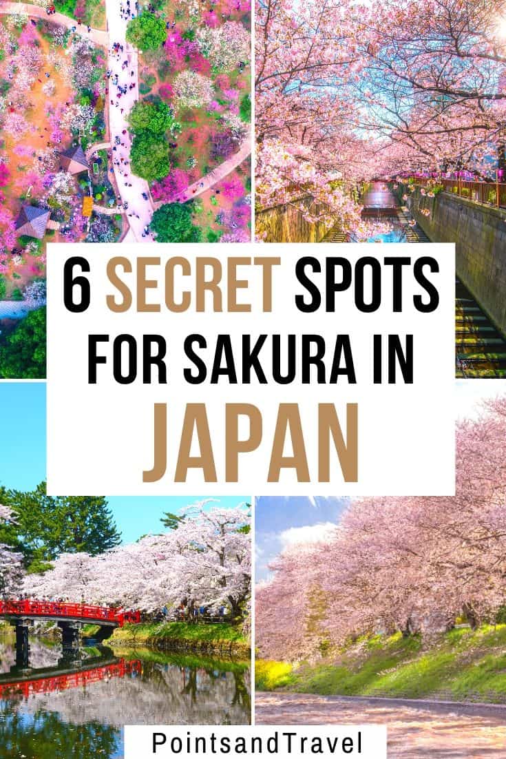 sakura bloom, sakura, cherry blossom festival, Japanese cherry blossom tree, 6 secret spots for sakura in japan, the most underrated places for cherry blossoms in Japan