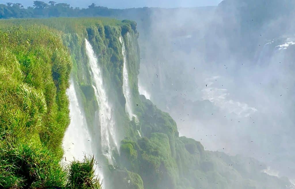 Iguazu Falls Argentina, Iguazu Falls tours, Iguazu Falls Hotels, #IguazuFalls #IguazuFallsArgentina #IguazuFallsHotels #Argentina #IguazuFallsTours