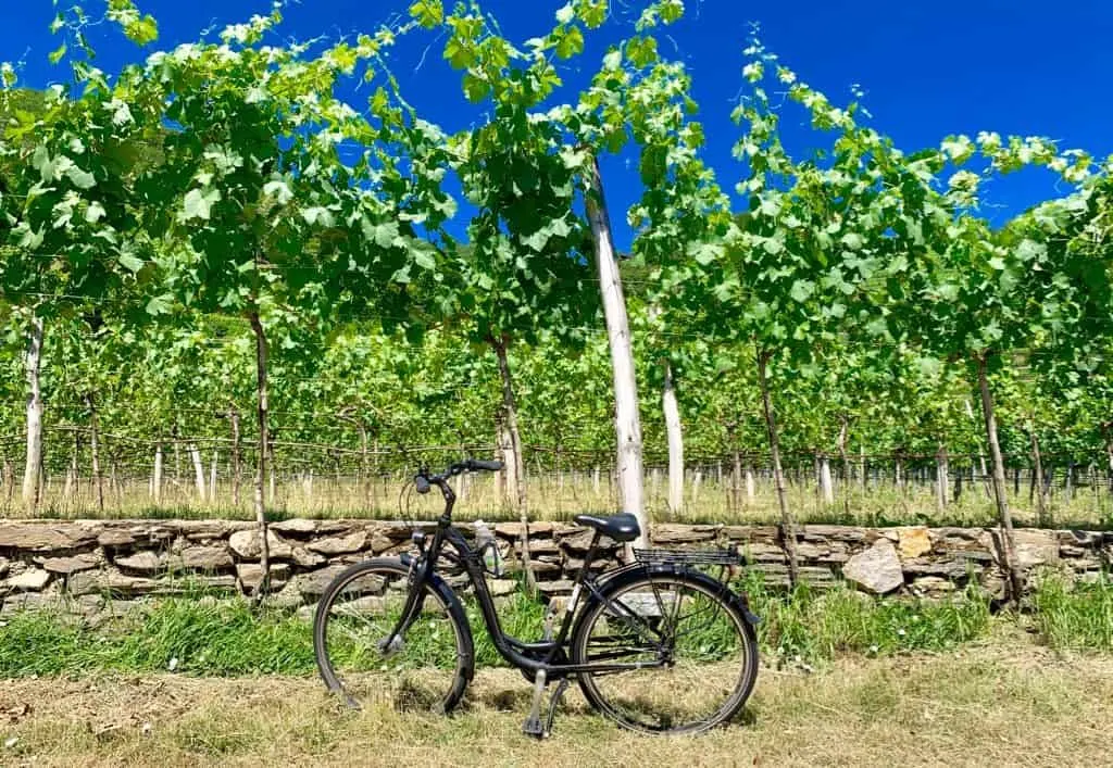 cycling the Danube, Vienna bike tour, Danube cycle path, Bike Tour