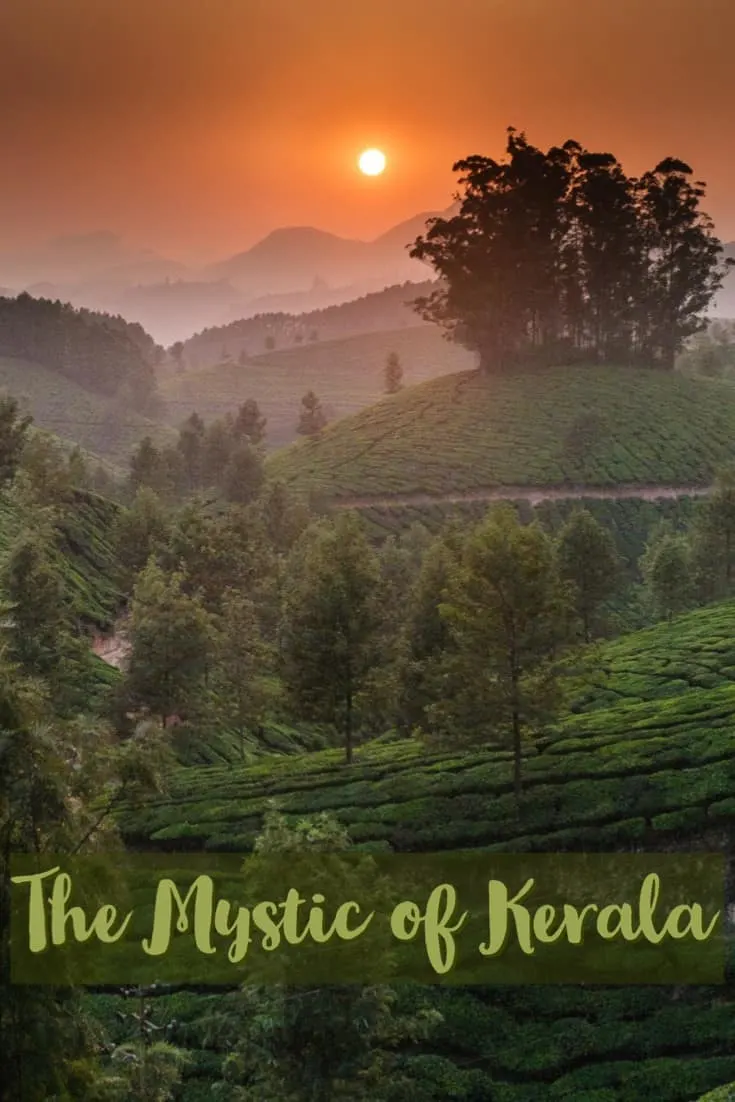 Places to Visit in Kerala, #kerala #keralatourism #indiatravel #indiatourism #naturephotography 