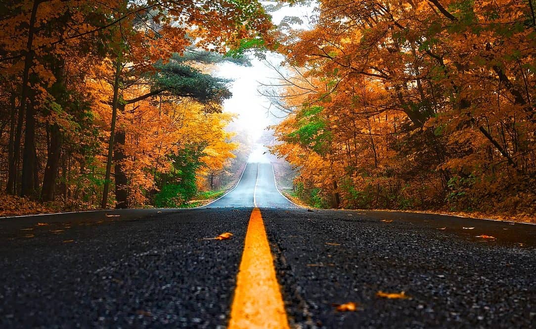 ROAD TRIP Ideas