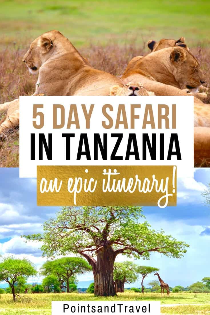 5 day safari in Tanzania, Tanzania 5 day itinerary for an amazing safari, the most epic Tanzania 5 day safari, #Tanzania #Safari