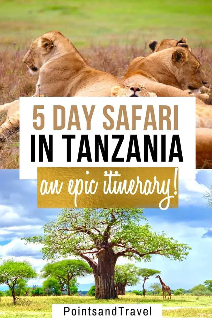 5 day safari in Tanzania, Tanzania 5 day itinerary for an amazing safari, the most epic Tanzania 5 day safari, #Tanzania #Safari