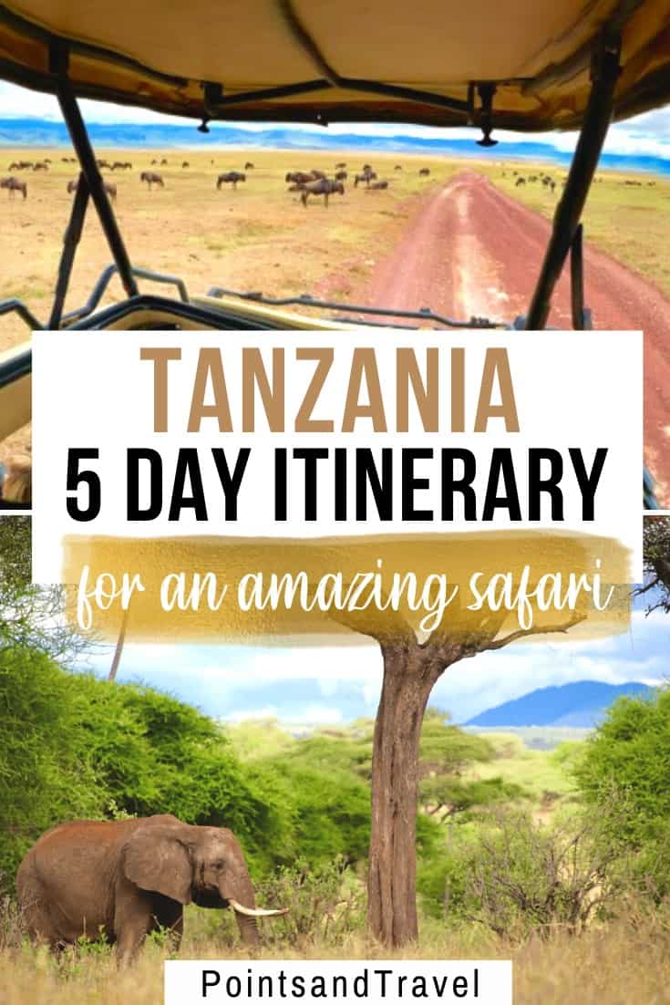 5 day safari in Tanzania, Tanzania 5 day itinerary for an amazing safari, the most epic Tanzania 5 day safari, #Tanzania #Safari