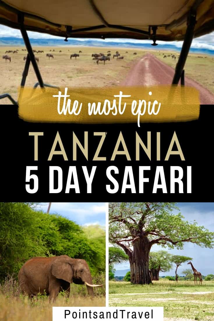 5 day safari in Tanzania, Tanzania 5 day itinerary for an amazing safari, the most epic Tanzania 5 day safari, #Tanzania #Safari