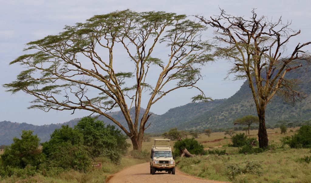 Luxury African safari, Serengeti safari, African adventures, African wildlife safari, luxury safari, visit the Serengeti, #Africa #Serengeti #Safari